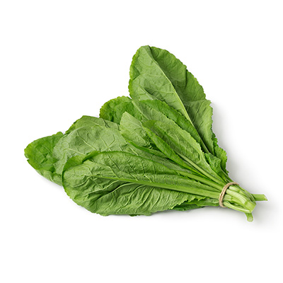 からし菜